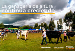 IV EXPOFERIA AGROPECUARIA ALISO COLORADO 2023 CONTÓ CON PARTICIPACIÓN NUMEROSA DE PRODUCTORES AGROPECUARIOS Y GANADEROS DE CAJAMARCA