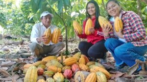 Impulsamos la creación de la Ruta del Cacao en Jaén