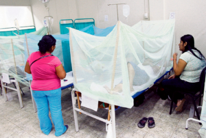 JAÉN ES LA PROVINCIA CON MÁS CASOS DE DENGUE EN CAJAMARCA, SEGUIDA DE CONTUMAZÁ Y SAN IGNACIO 