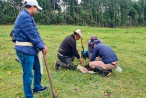 MINERA COIMOLACHE REALIZA ESTUDIO DE SUELOS PARA FORTALECER LA ACTIVIDAD GANADERA Y LA AGRICULTURA EN CAJAMARCA