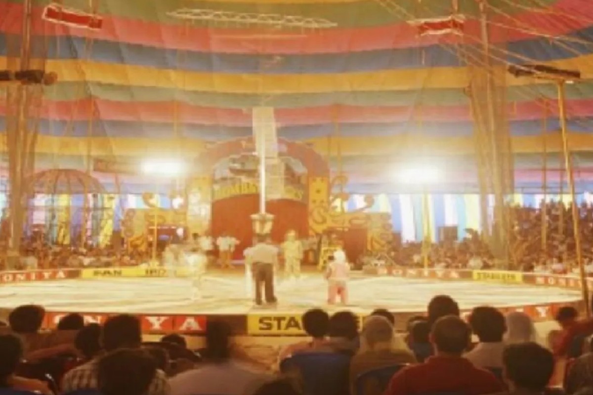 VIDEO: Acróbata muere en función de circo