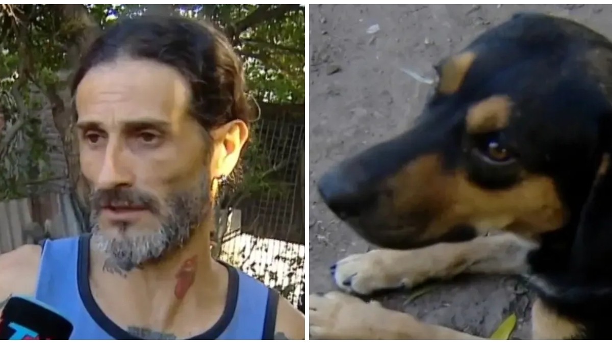 Perro salvó a su dueño mientras se incendiaba su casa en Argentina: Luego volvió y rescató al gato
