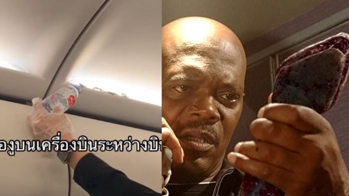 ¿Como en la película de Samuel L. Jackson? Encuentran serpiente viva en un avión en Tailandia