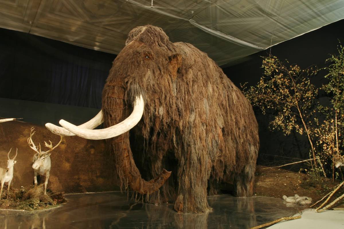 Científicos buscan revivir a los mamuts para el 2027 con este método