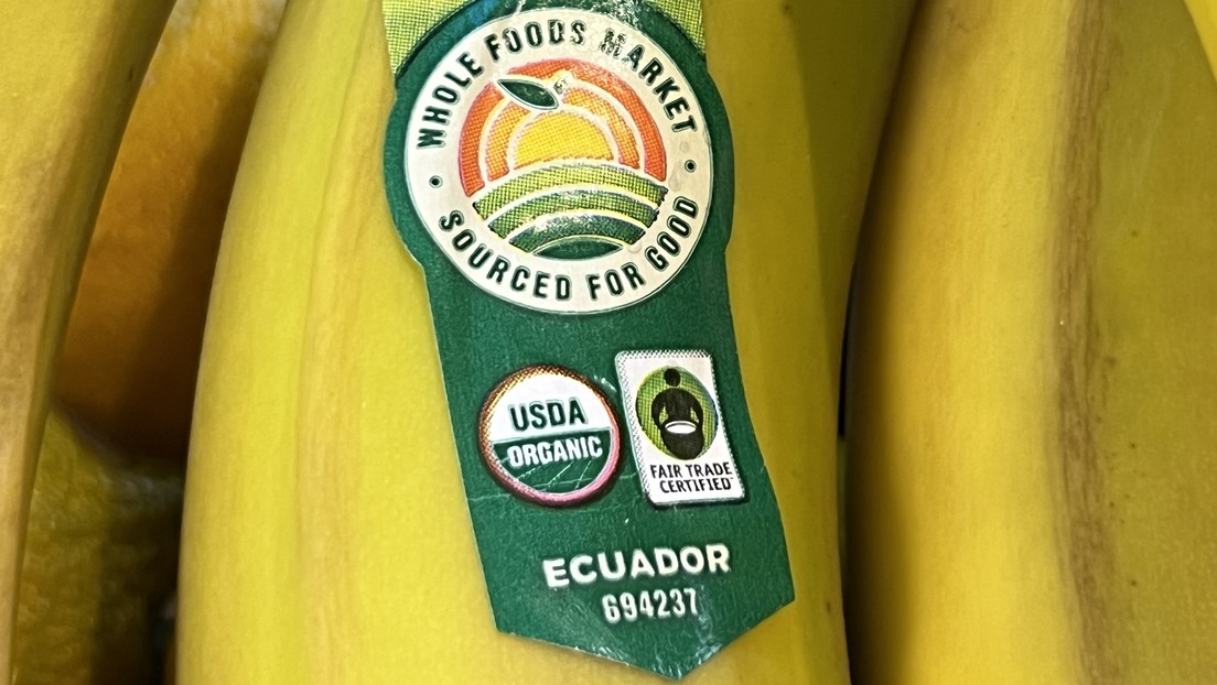 Sector bananero de Ecuador: «No hay mercado que pueda absorber 1,4 millones de cajas semanales que demanda Rusia»