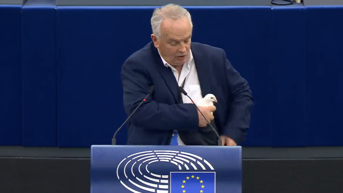 VIDEO: Un eurodiputado suelta una paloma en señal de paz y pasa esto