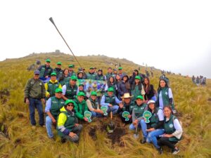 “HUELLA VERDE”: SUPERAMOS LA META DEL MILLÓN DE ÁRBOLES PLANTADOS EN CAJAMARCA