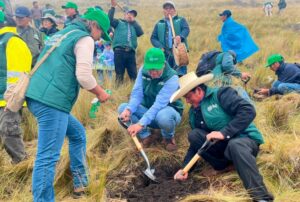 PROYECTO «HUELLA VERDE» LOGRA PLANTAR UN MILLÓN DE ÁRBOLES EN CAJAMARCA Y SE PROYECTA SEMBRAR 500 MIL MÁS AL 2025.