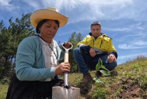 SEMBRADO DE UN MILLÓN DE ÁRBOLES ES UN LOGRO IMPORTANTE PARA CAJAMARCA