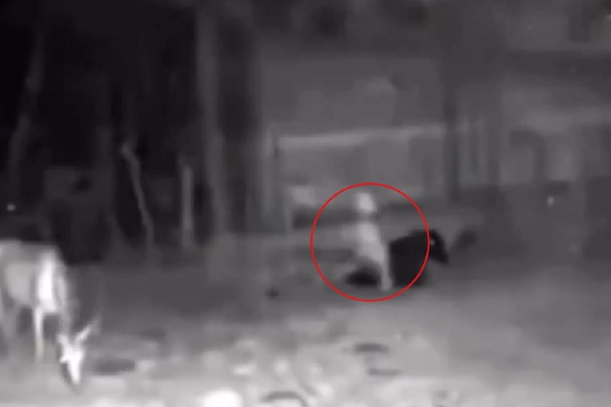VIDEO: Captan ente paranormal en un rancho