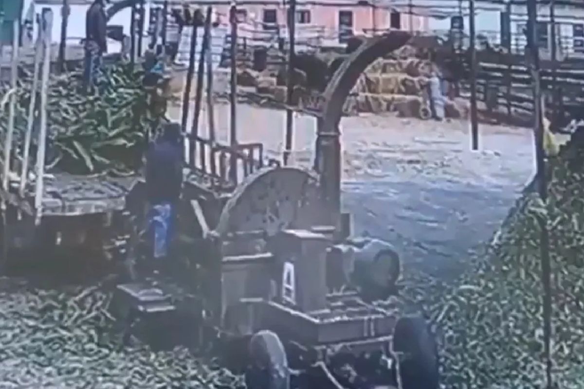 VIDEO: Hombre muere al caer a máquina trituradora de alimentos