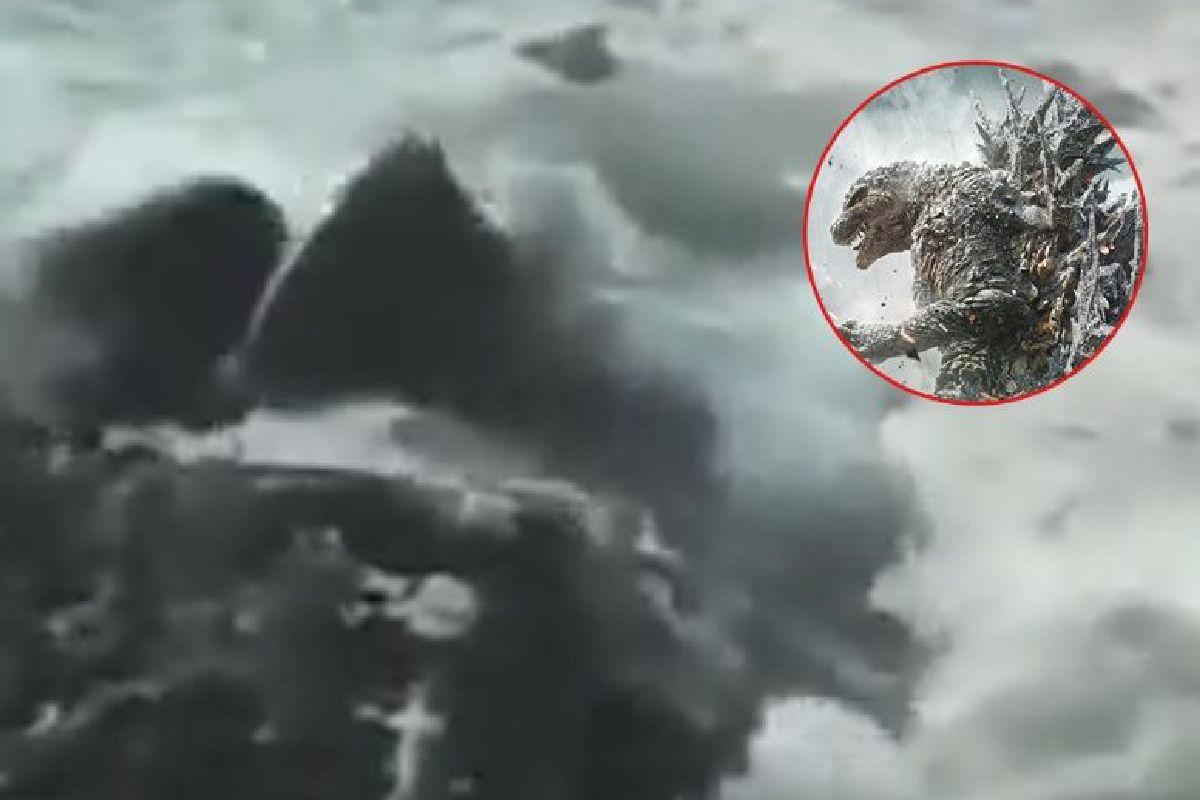 VIDEO: Captan presunta criatura marina como Godzilla