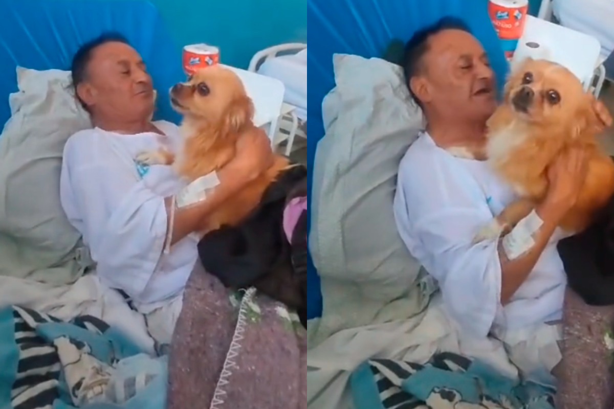VIDEO: Familia lleva a perrita al hospital para ver a su dueño