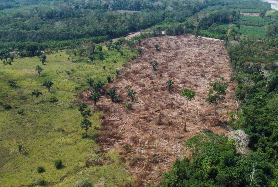 LA AMAZONÍA PERUANA: UN TERRITORIO CON UN ENORME POTENCIAL FRENADO POR LA FALTA DE INFRAESTRUCTURA