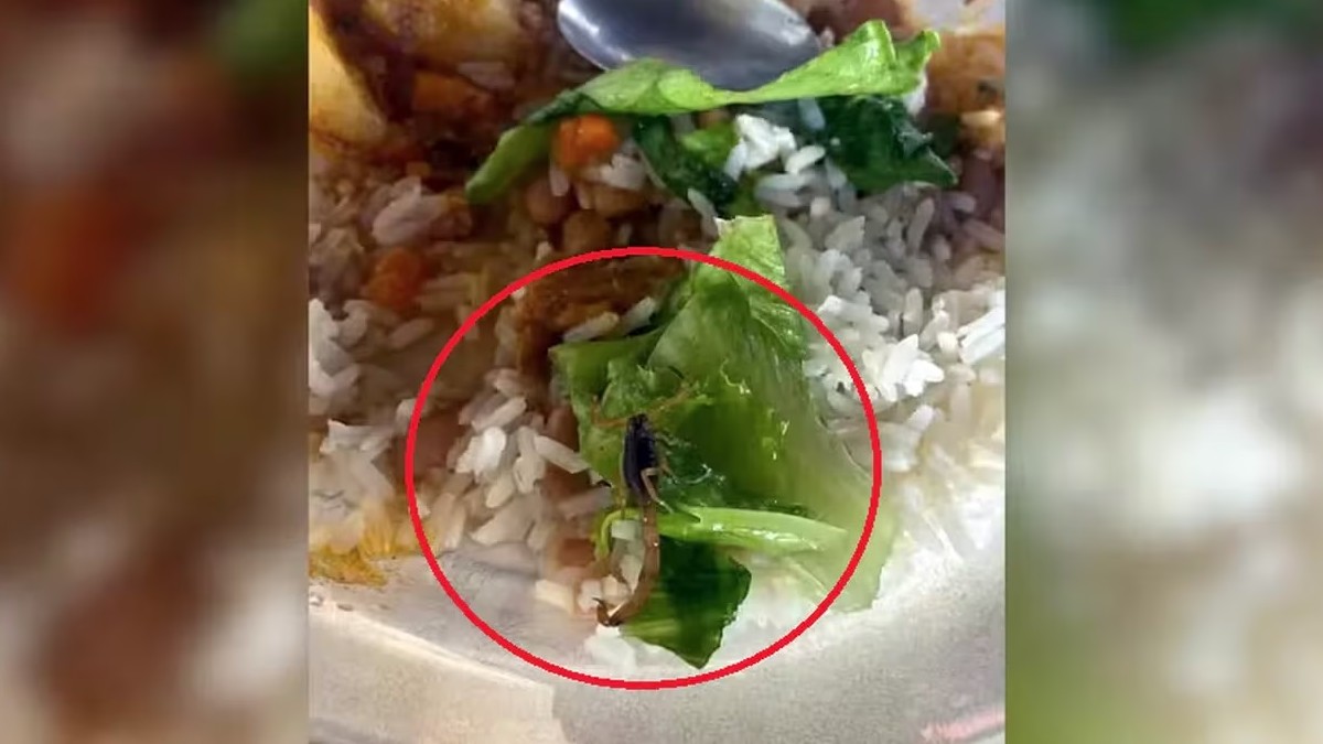 ¡Ingrediente inesperado! Estudiante encontró un alacrán en la comida que le sirvió su escuela en Brasil