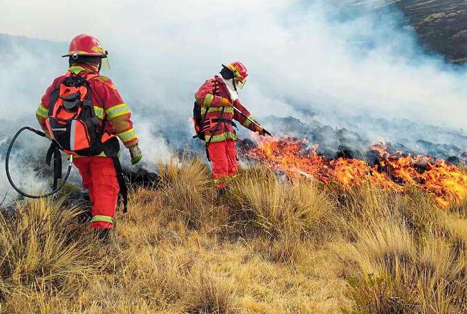 CUERPO GENERAL DE BOMBEROS EN LORETO NO CUENTAN CON EQUIPOS PARA COMBATIR INCENDIOS FORESTALES