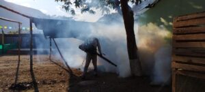 RIS JAÉN LOGRA REDUCCIÓN HISTÓRICA DEL 65% DE LOS CASOS DE DENGUE EN LO QUE VA DEL 2024