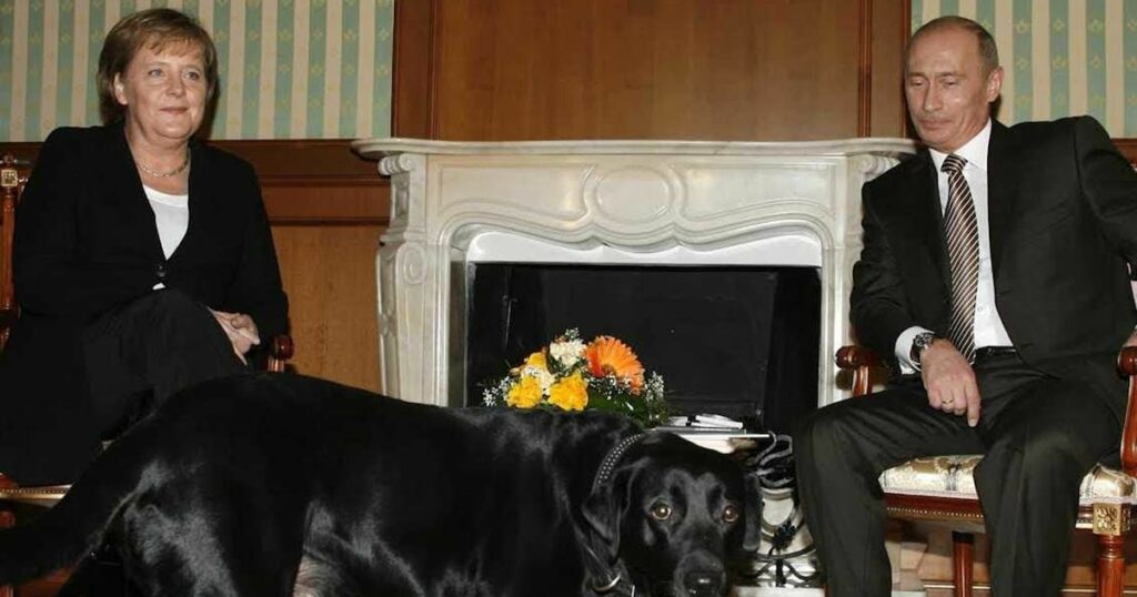 Las memorias de Angela Merkel: del día que Putin la aterrorizó con su perro a su relación con Trump