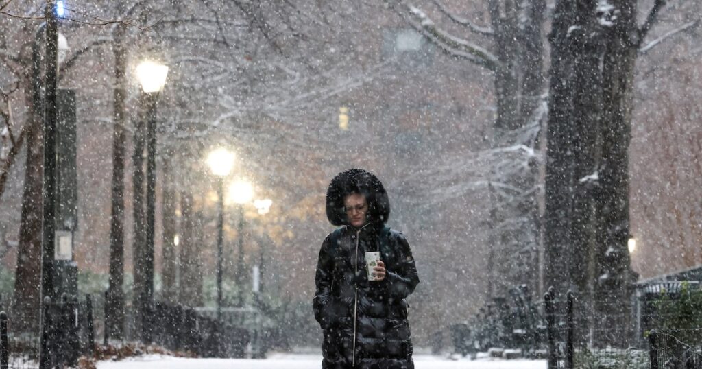 Nueva York enfrenta otra tormenta invernal: se esperan hasta 45 centímetros de nieve en algunos condados