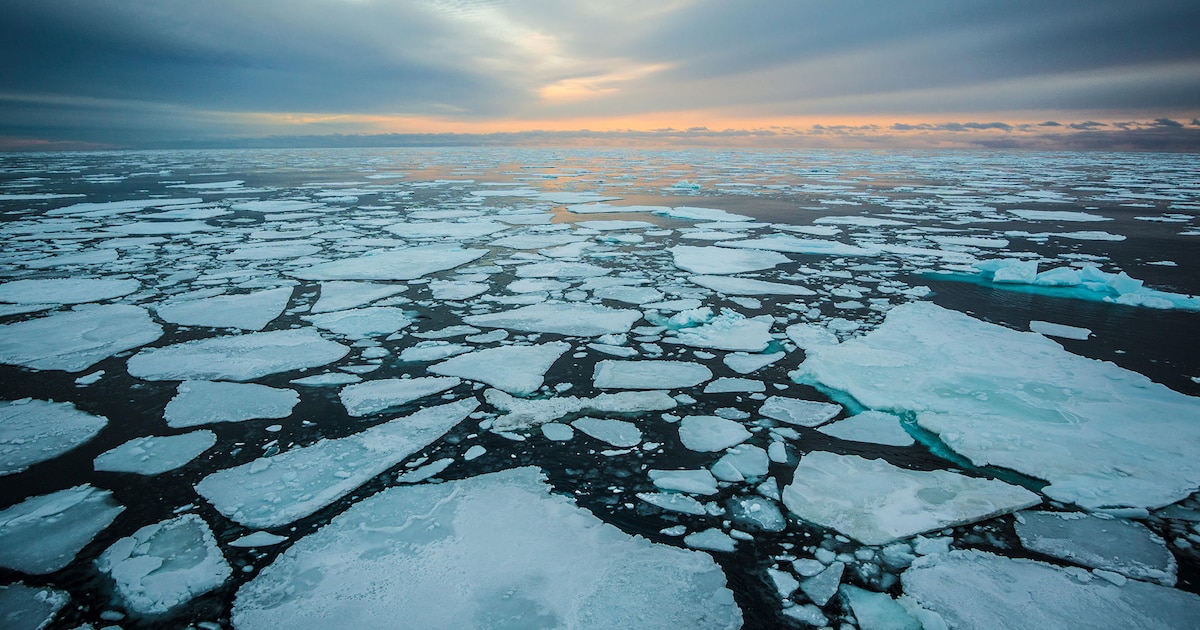 Rescatan reliquias milenarias del Ártico mientras el cambio climático amenaza su preservación