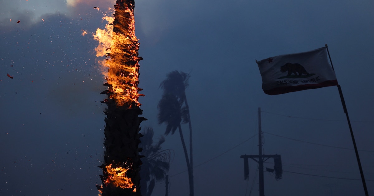 Incendio en Pacific Palisades: 30.000 evacuados mientras fuertes vientos alimentan las llamas en Los Ángeles