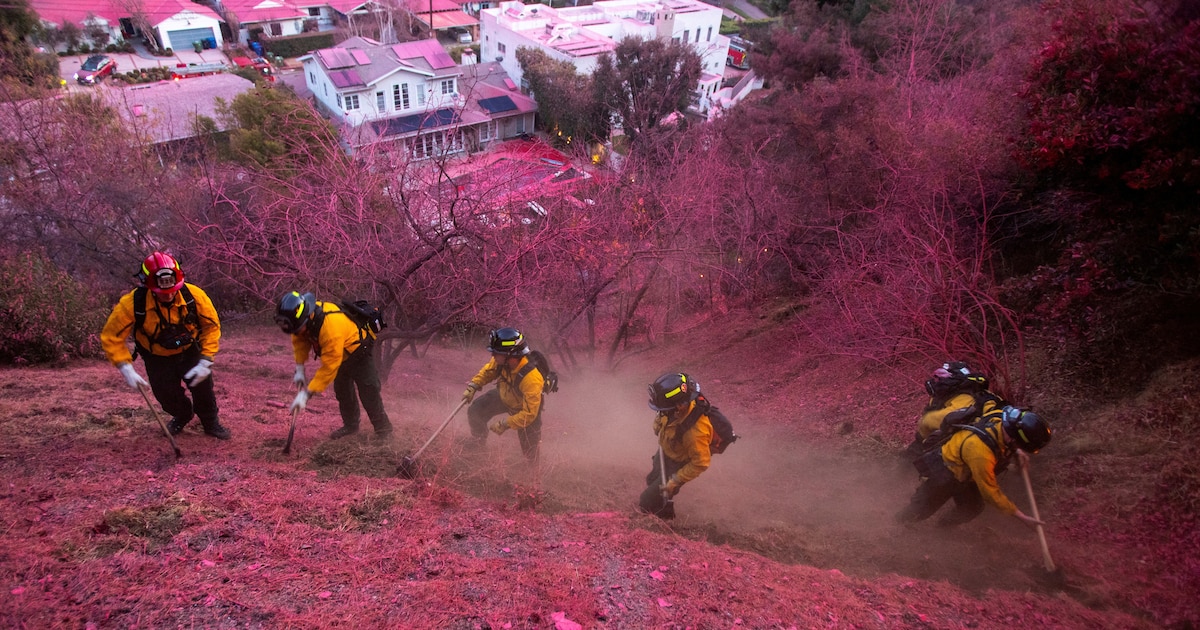 El uso de retardante rojo en los incendios de Los Ángeles: qué es, cómo funciona y su impacto ambiental