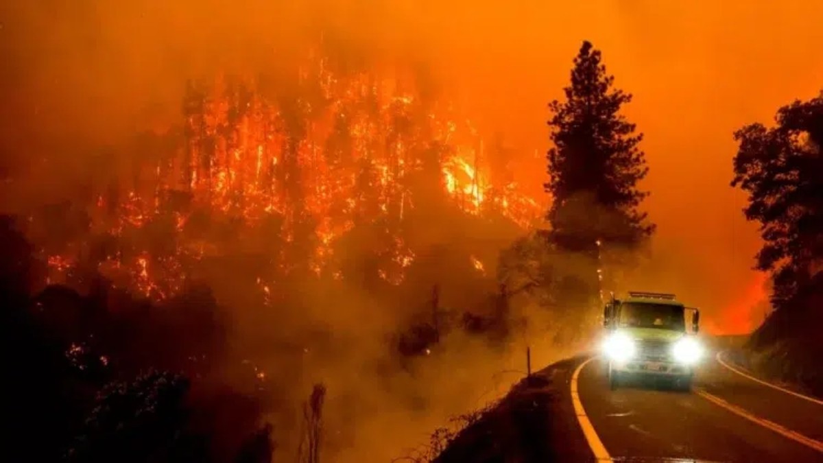 Corre riesgo barrio del Príncipe del Rap: Incendios forestales avanzan hacia Bel-Air