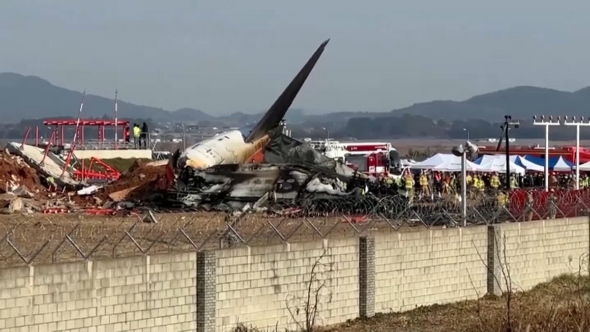 Motores de avión accidentado en Corea del Sur tenía restos de ADN de pato