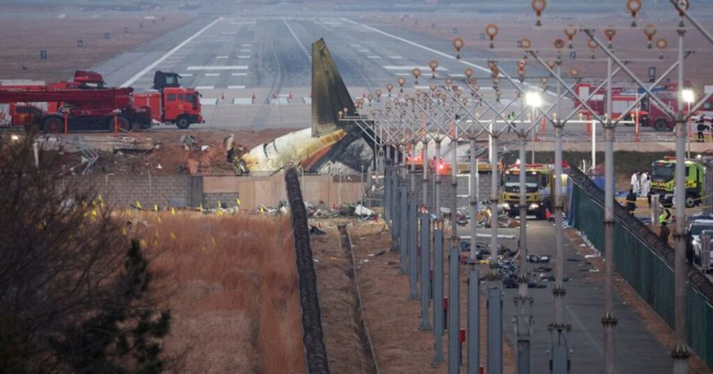 Corea del Sur ordenó instalar radares de detección de aves en los aeropuertos del país tras el mortal accidente de Jeju Air