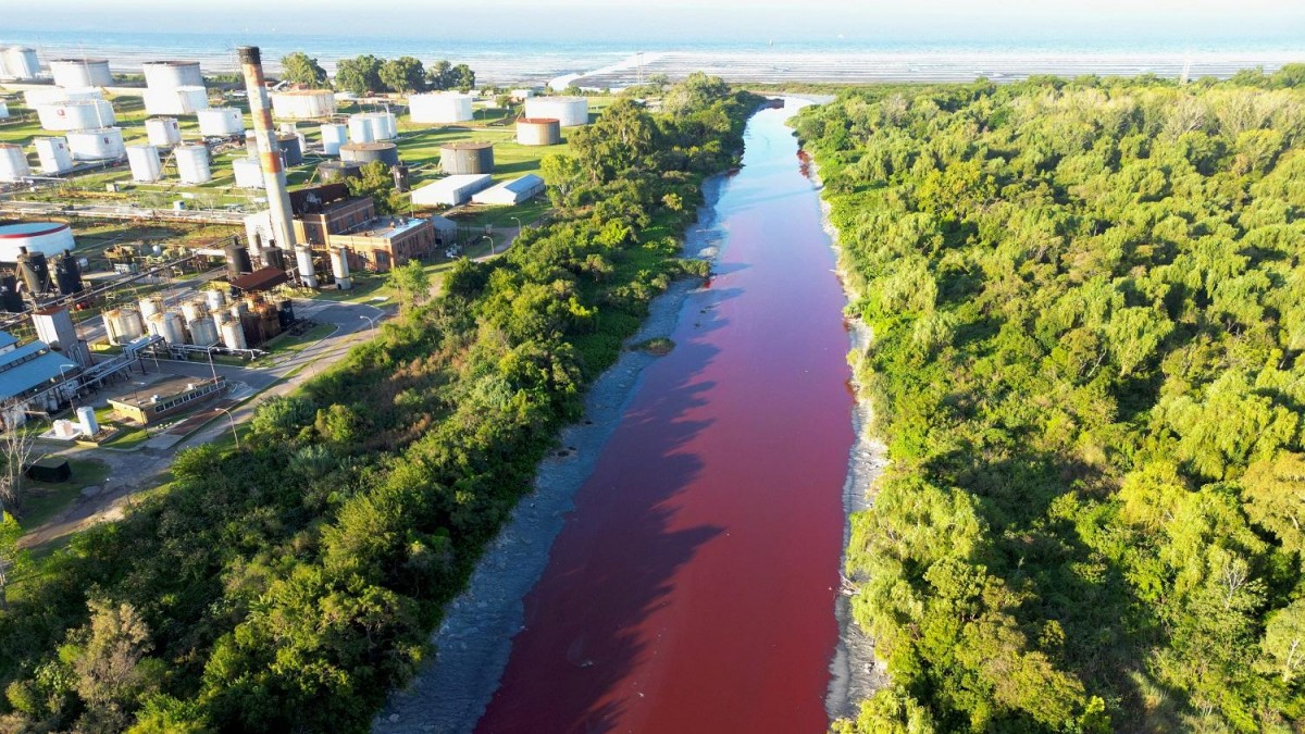 «Parecía un arroyo de sangre»: Canal quedó teñido completamente de rojo en Buenos Aires