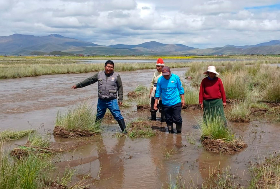 PUNO: LLUVIAS PERSISTIRÁN HASTA FINES DE FEBRERO Y ADVIERTEN DE POSIBLES DESBORDE DE RÍOS