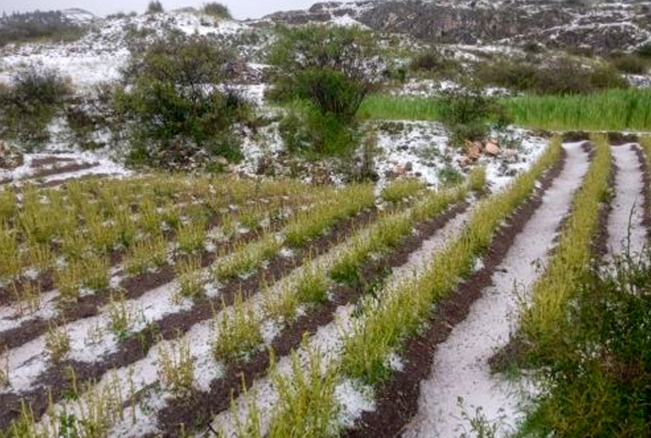 HUANCAVELICA: CUATRO MUERTOS Y MÁS DE 2,000 DAMNIFICADOS DEJA ACTUAL TEMPORADA DE LLUVIAS