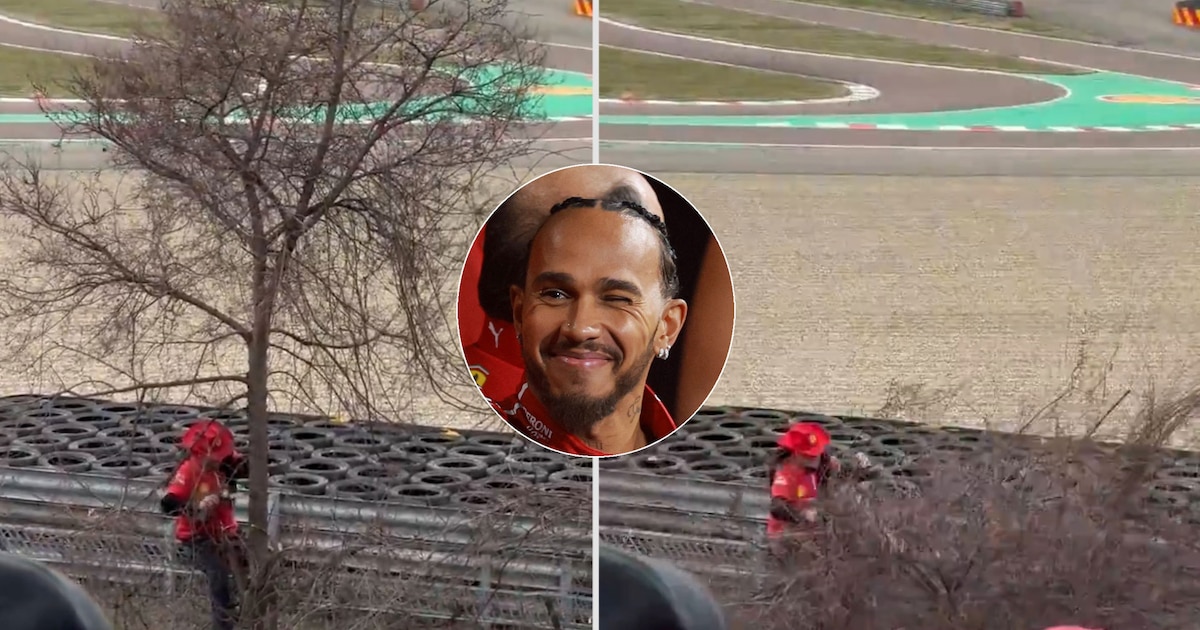 Un fanático de Ferrari taló un árbol para ver el entrenamiento de Lewis Hamilton y recibió duras críticas