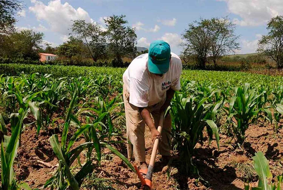 MINERÍA FORMAL Y AGRICULTURA PUEDEN COEXISTIR EN PIURA