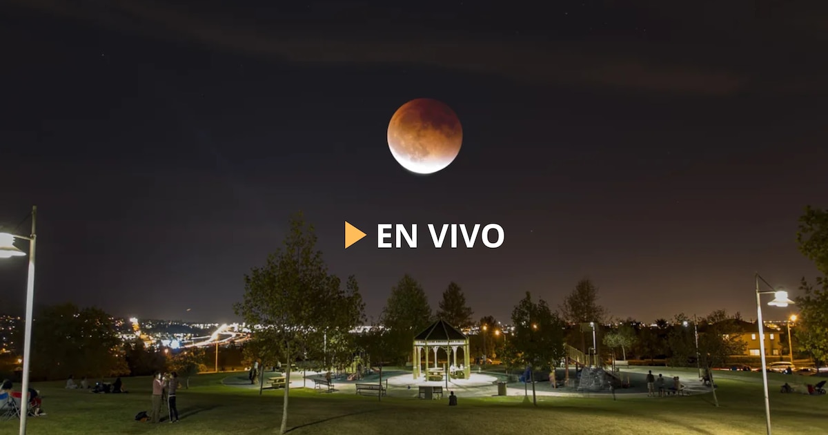 Eclipse lunar EN VIVO: sigue el minuto a minuto del fenómeno visible en toda América Latina