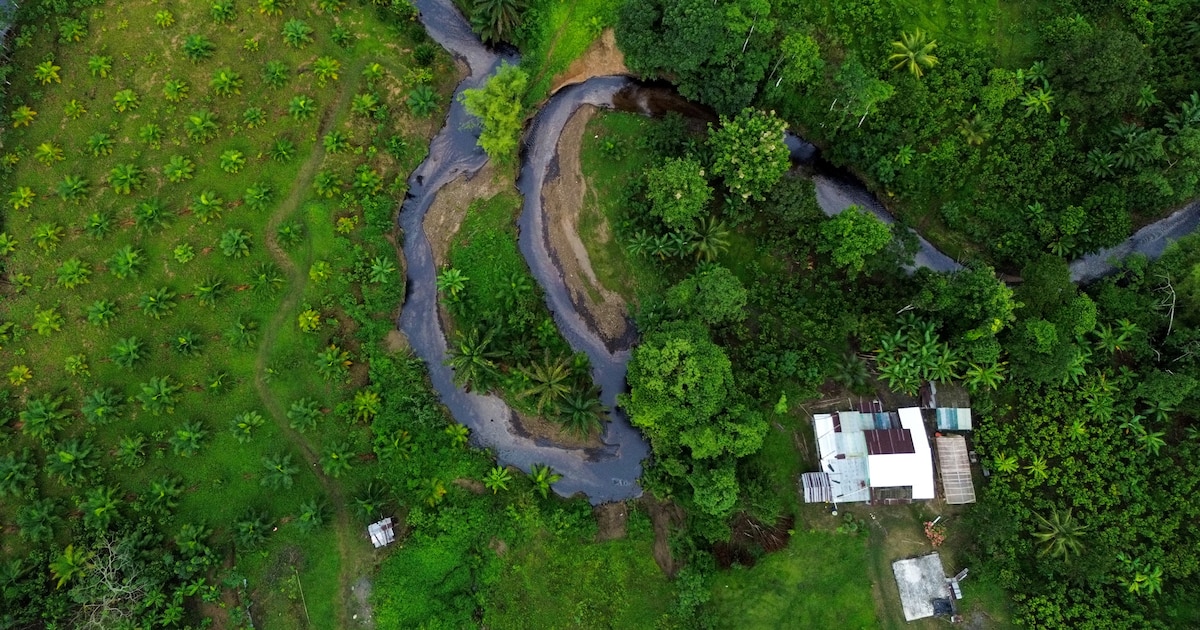 Ecuador declaró la emergencia medioambiental por el derrame de crudo que está causando “daños sin precedentes”