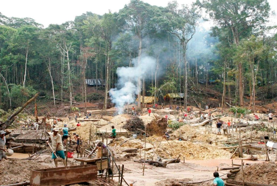 DENUNCIAN QUE AMAZONIA HA SIDO “CAPTURADA” POR MAFIAS DEDICADAS A MINERIA ILEGAL, TALA ILEGAL, NARCOTRÁFICO Y TRAFICO DE TIERRAS