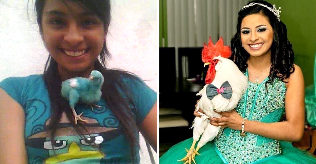 As a child, she rescued a fair chicken and they grew up together. They became great friends