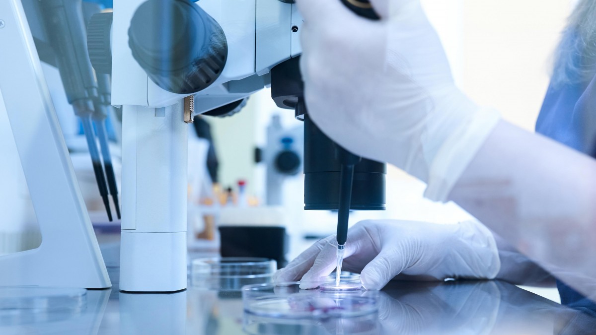 Donante de esperma con mutación genética engendró 67 niños: Al menos 10 tienen cáncer