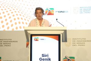 SI NO EXPLORAMOS AHORA, EN 50 AÑOS NO HABRÁ ENERGÍAS RENOVABLES, ADVIRTIÓ ESPECIALISTA EN PROEXPLO