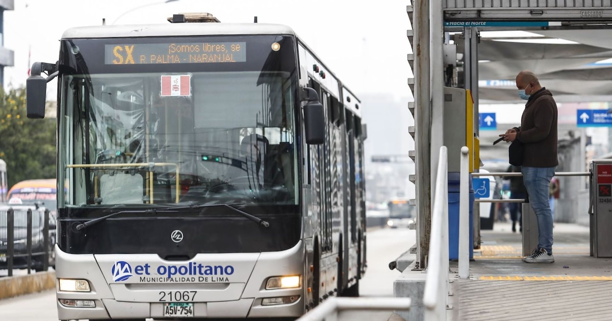 Nuevo servicio expreso: Metropolitano lanza nueva ruta que unirá Comas y Chorrillos en corto tiempo