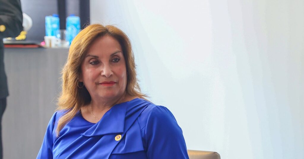 Mario Cabani asegura que Dina Boluarte no firmó decreto que expidió: “No entendemos su poder de desdoblamiento”