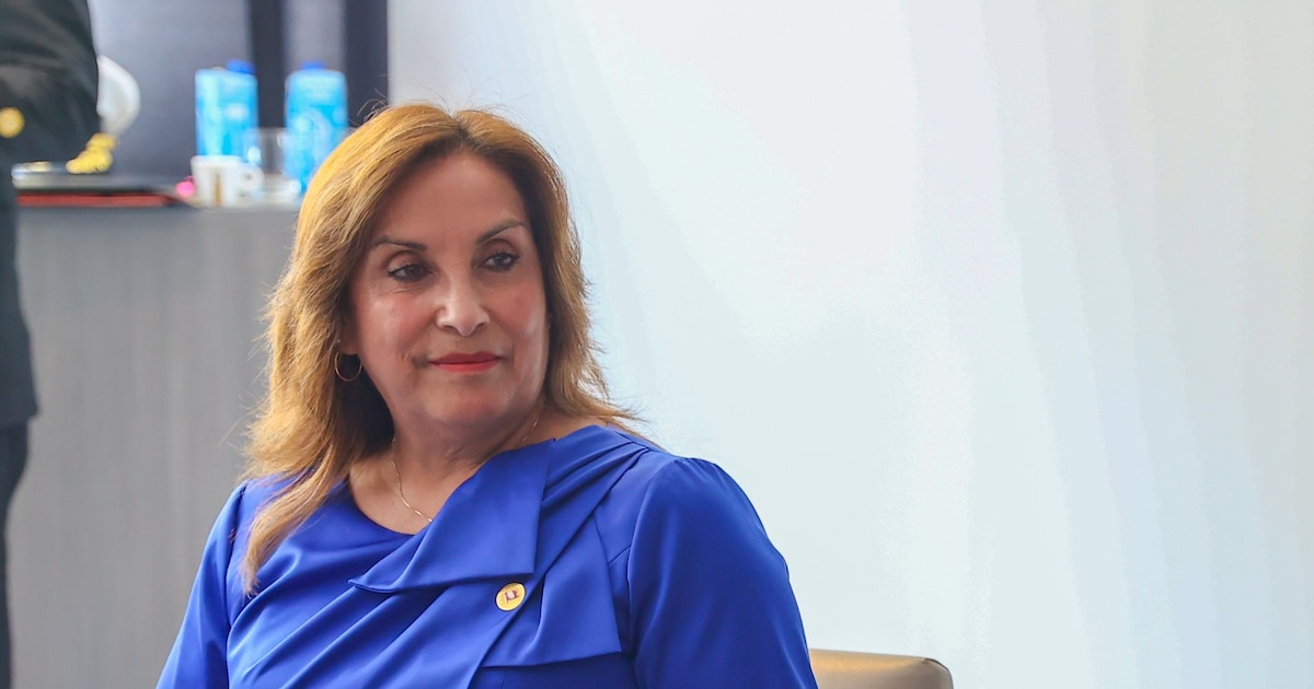 Mario Cabani asegura que Dina Boluarte no firmó decreto que expidió: “No entendemos su poder de desdoblamiento”