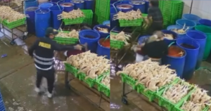 Sicarios vestidos de policías matan a dos personas y dejan otros dos heridos en segundo ataque a la ‘Reina del Pollo’ en Huaura