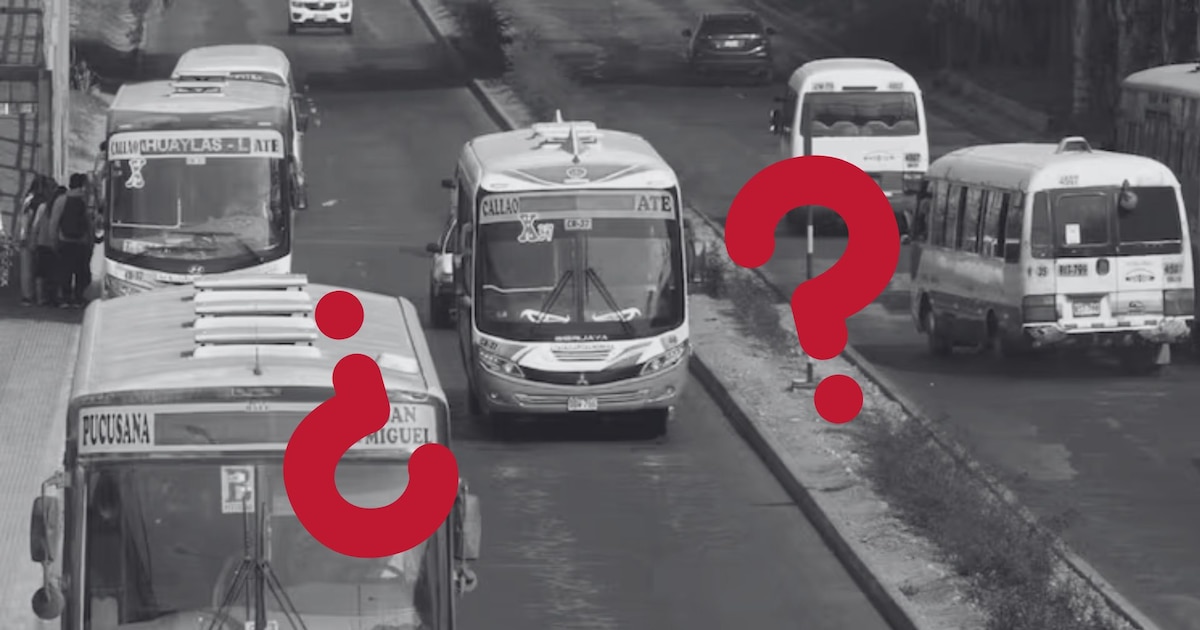 ¿Habrá paro de transportistas este miércoles 18 de junio? Anitra descarta su participación