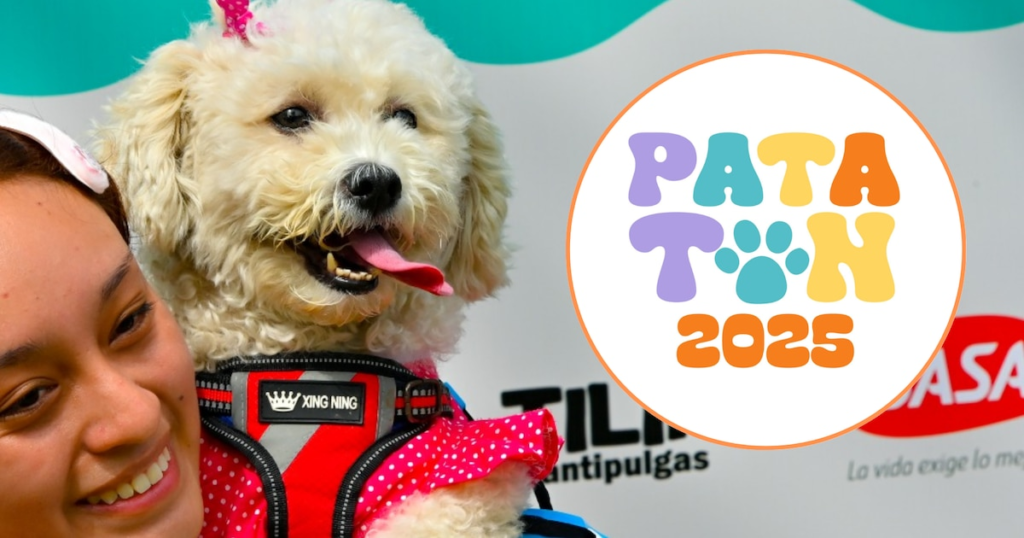 Patatón 2025 en el Circuito Mágico del Agua: servicios veterinarios gratuitos para ayudar a refugios de perros y gatos
