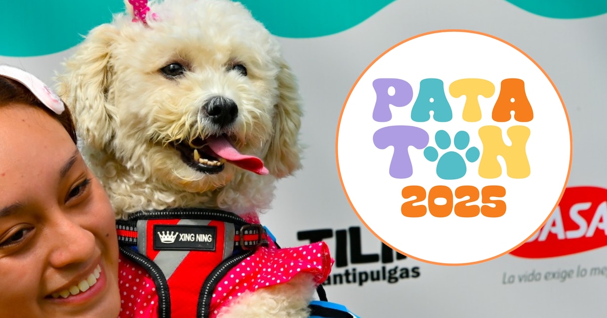Patatón 2025 en el Circuito Mágico del Agua: servicios veterinarios gratuitos para ayudar a refugios de perros y gatos