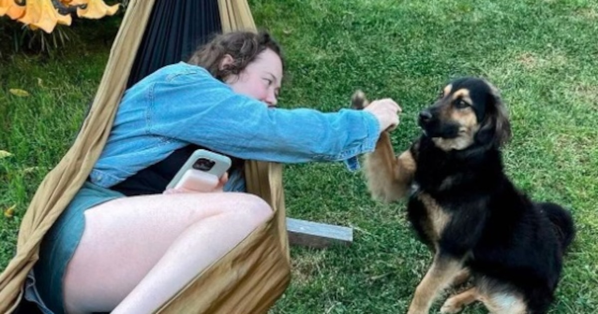Mochilera británica recaudó más de 20 mil dólares para rescatar a un perro callejero de Perú: “Se sentó como si me conociera de toda la vida”