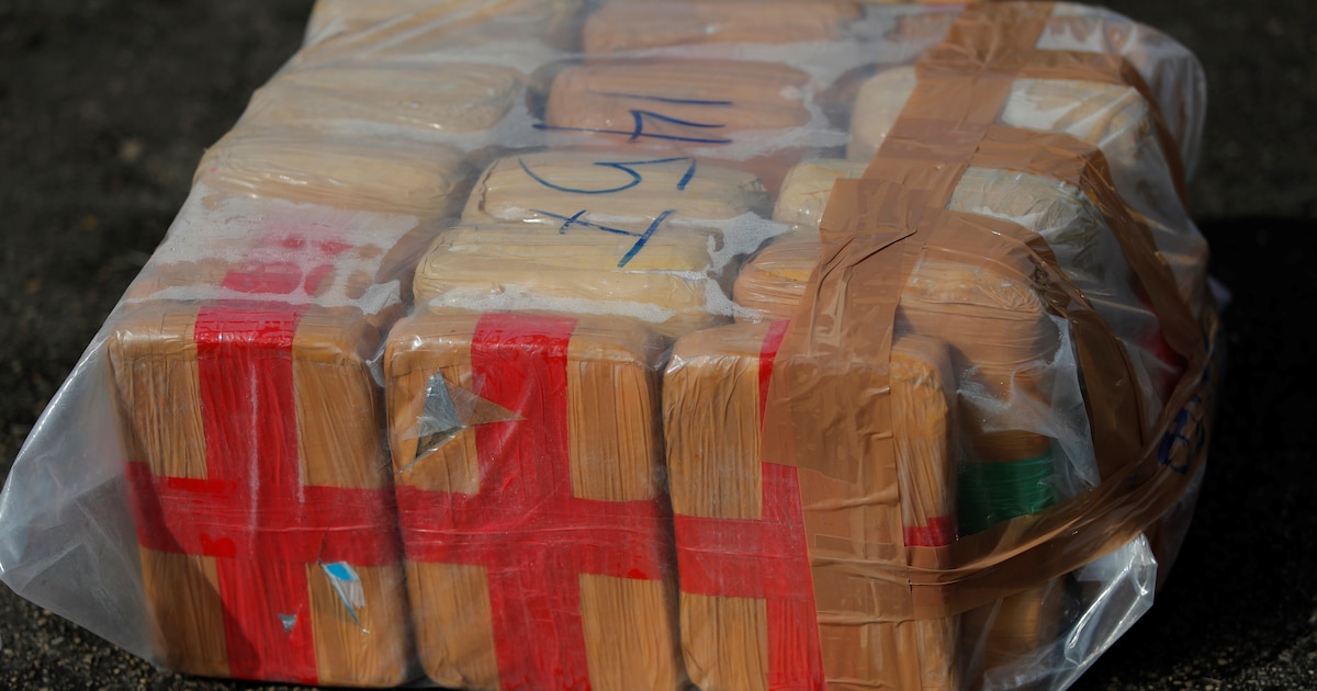 Cómo opera la mafia albanesa para traficar cocaína desde Ecuador hacia Europa