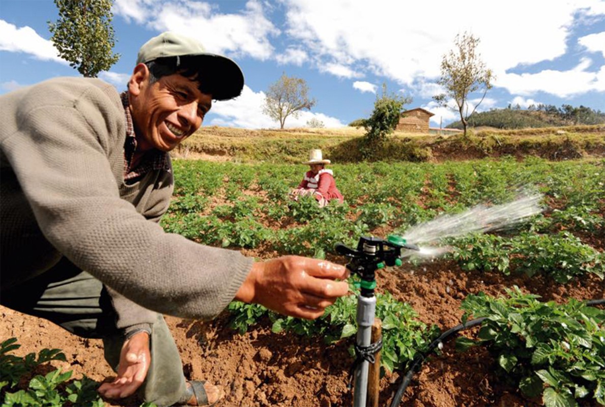 CAJAMARCA: NEWMONT FONCREAGRO ENTREGARÁ RECONOCIMIENTOS POR EL DÍA DEL CAMPESINO
